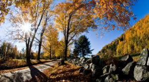 Connecticut Minimum Wage Increase